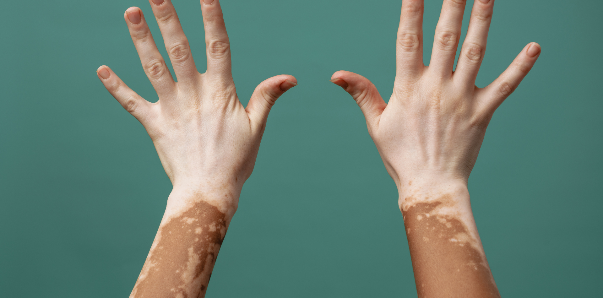 #1E73BE17 (4) #1E73BE17 (4)